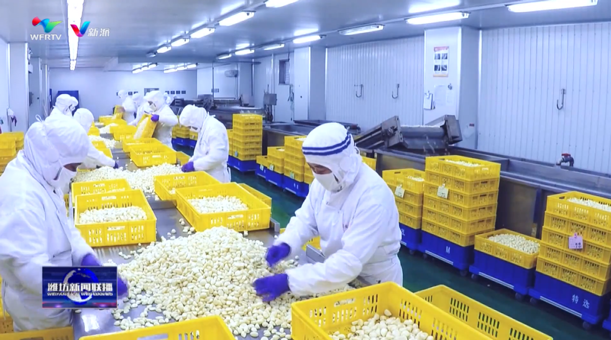 【潍坊迎新年再出发】“好品山东•鲁贸全球”2024潍坊国际精准采购节走进安丘(图4) 【潍坊迎新年再出发】“好品山东•鲁贸全球”2024潍坊国际精准采购节走进安丘(图4)