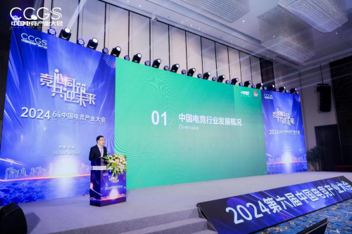 2024第六届中国电竞产业大会圆满举办(图11) 2024第六届中国电竞产业大会圆满举办(图11)