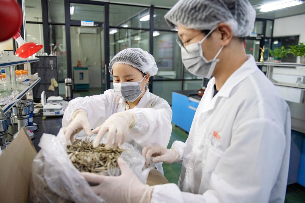 新华全媒+丨贸易规模有突破 促稳提质有支撑——透视我国外贸进出口半年报(图2) 新华全媒+丨贸易规模有突破 促稳提质有支撑——透视我国外贸进出口半年报(图2)