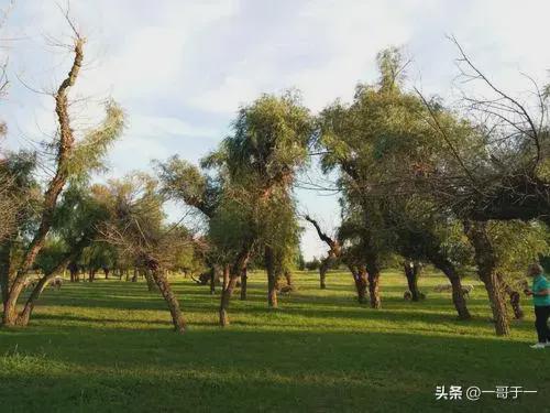 中国蝉联德最大贸易伙伴中(图3)